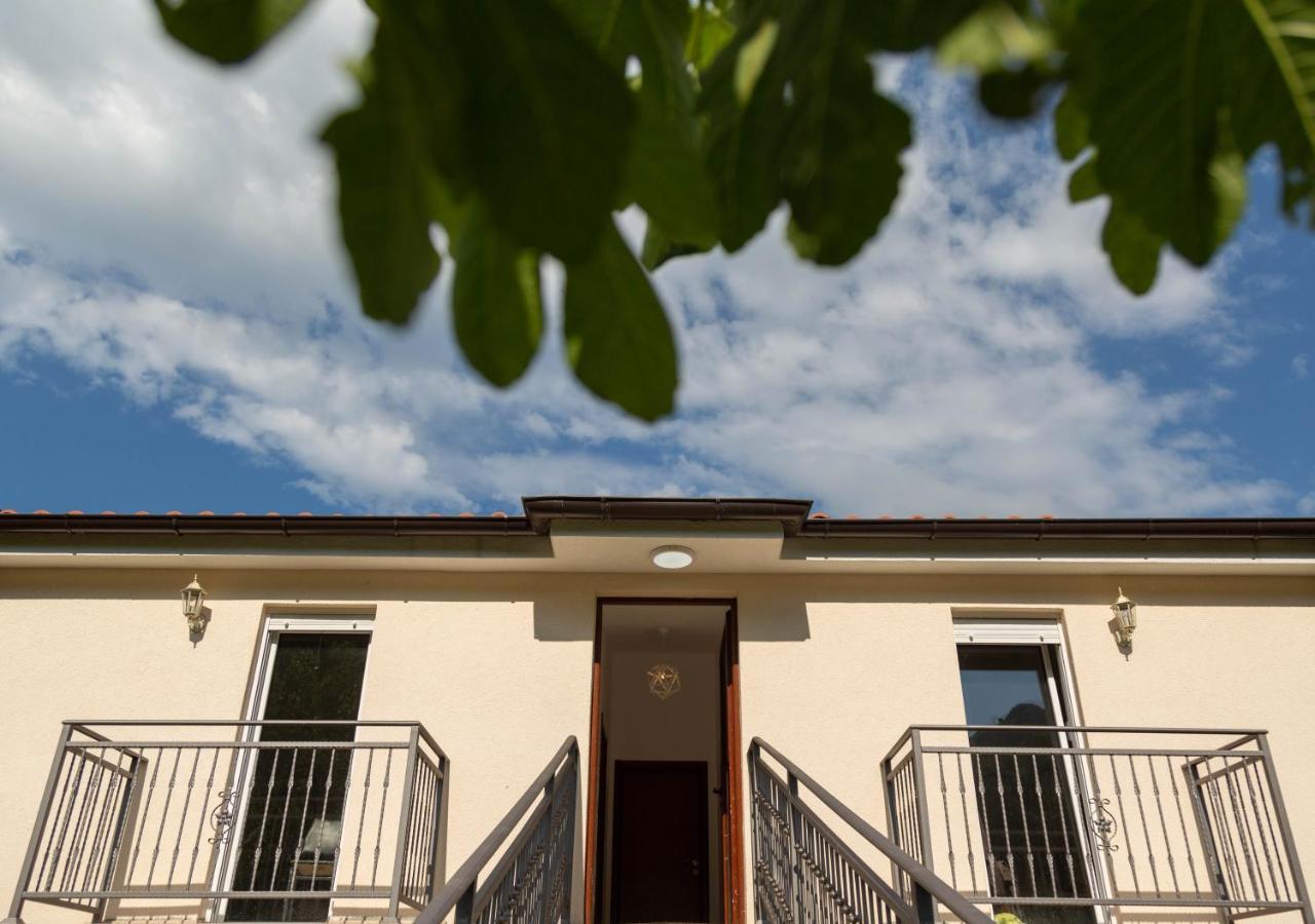 Plamenatz Studio Apartments Virpazar Bagian luar foto